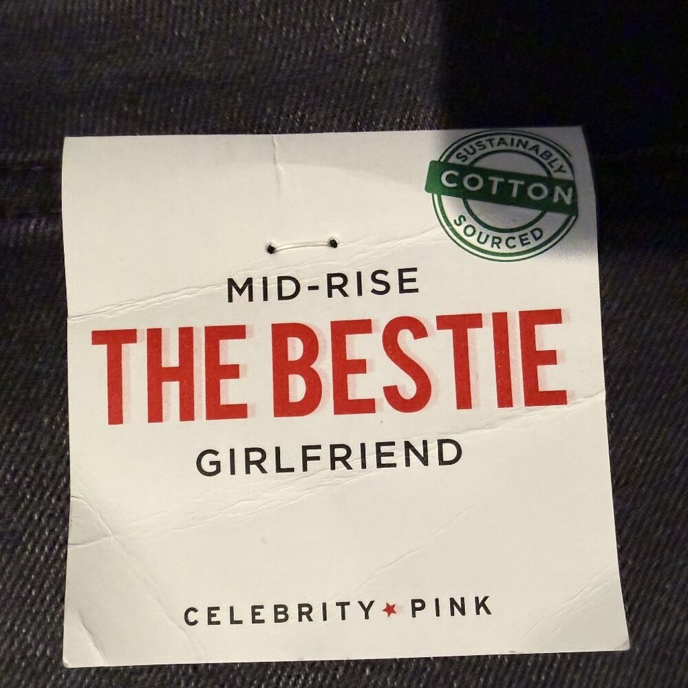 NWT Celebrity Pink The Bestie Mid-Rise Girlfriend Jeans 5/27 Sustainably Sourced - Picture 9 of 14
